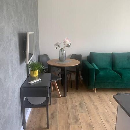 Uroczy Apartament W Centrum Sandomierza Сандомир Экстерьер фото