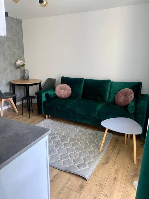 Uroczy Apartament W Centrum Sandomierza Сандомир Экстерьер фото