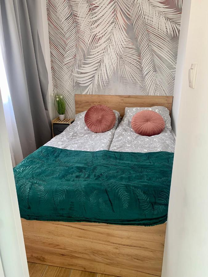 Uroczy Apartament W Centrum Sandomierza Сандомир Экстерьер фото